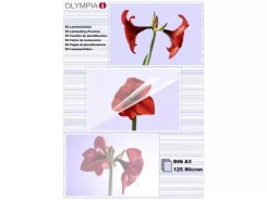 Olympia lamináló fólia A3, 125 mic., 50 db